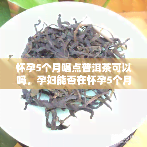 怀孕5个月喝点普洱茶可以吗，孕妇能否在怀孕5个月期间适量饮用普洱茶？