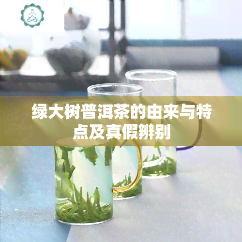 绿大树普洱茶的由来与特点及真假辨别