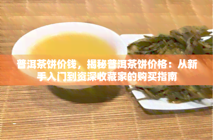 普洱茶饼价钱，揭秘普洱茶饼价格：从新手入门到资深收藏家的购买指南