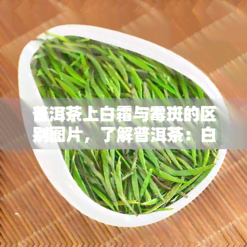 普洱茶上白霜与霉斑的区别图片，了解普洱茶：白霜与霉斑的视觉区别