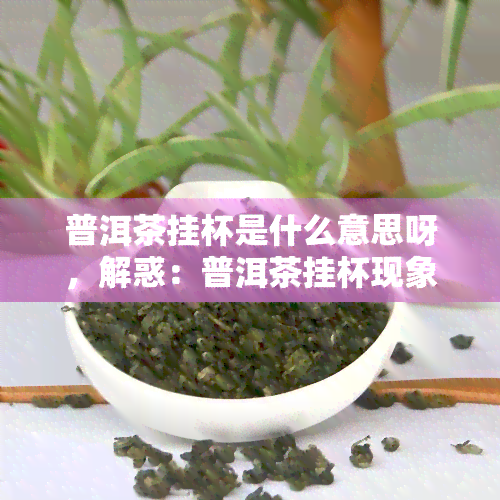 普洱茶挂杯是什么意思呀，解惑：普洱茶挂杯现象的背后含义是什么？