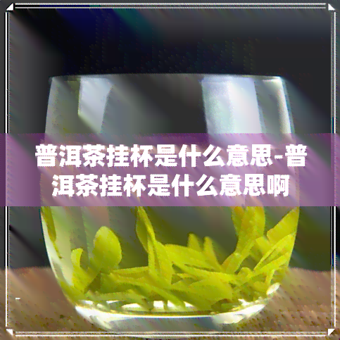 普洱茶挂杯是什么意思-普洱茶挂杯是什么意思啊