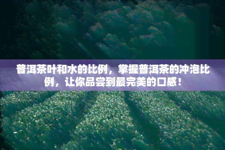 普洱茶叶和水的比例，掌握普洱茶的冲泡比例，让你品尝到最完美的口感！