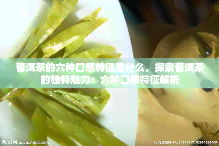 普洱茶的六种口感特征是什么，探索普洱茶的独特魅力：六种口感特征解析