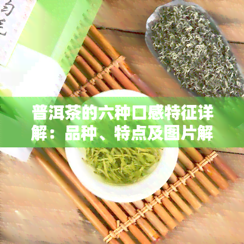 普洱茶的六种口感特征详解：品种、特点及图片解析