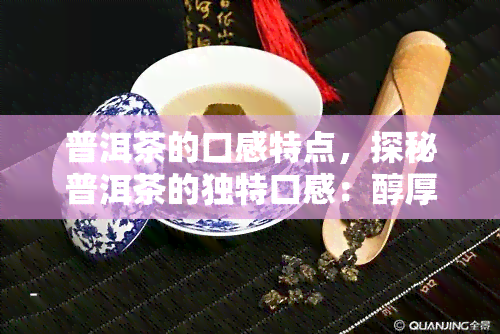 普洱茶的口感特点，探秘普洱茶的独特口感：醇厚、润与陈香