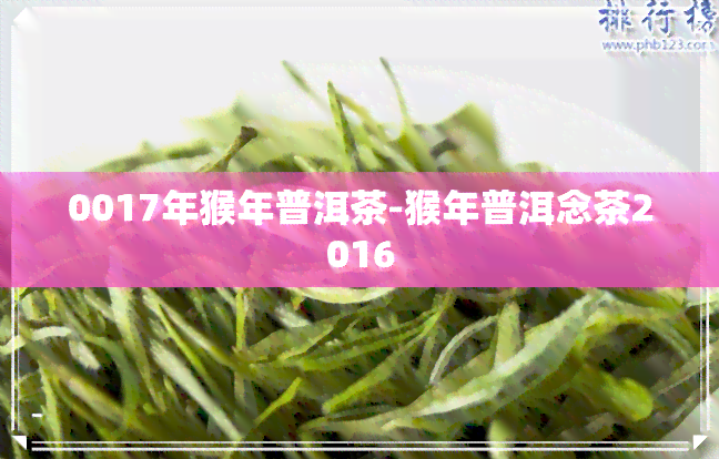 0017年猴年普洱茶-猴年普洱念茶2016