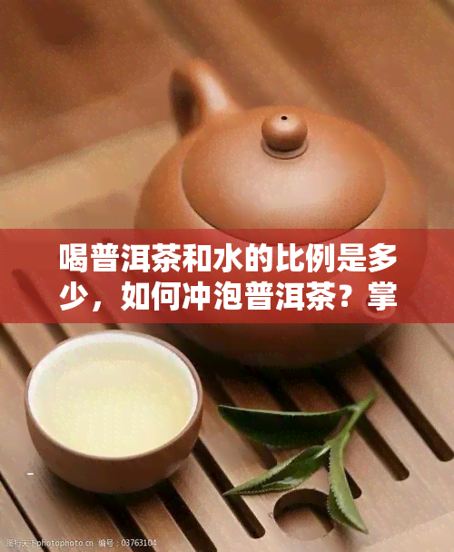 喝普洱茶和水的比例是多少，如何冲泡普洱茶？掌握正确比例让口感更佳！