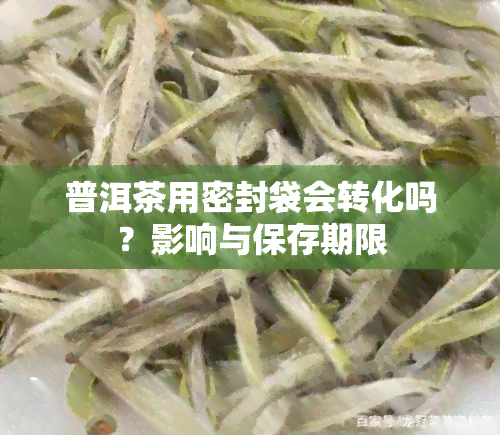 普洱茶用密封袋会转化吗？影响与保存期限