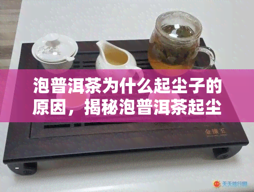 泡普洱茶为什么起尘子的原因，揭秘泡普洱茶起尘子的原因