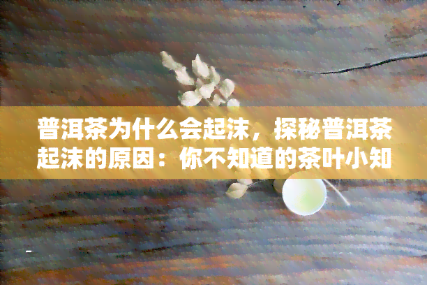 普洱茶为什么会起沫，探秘普洱茶起沫的原因：你不知道的茶叶小知识