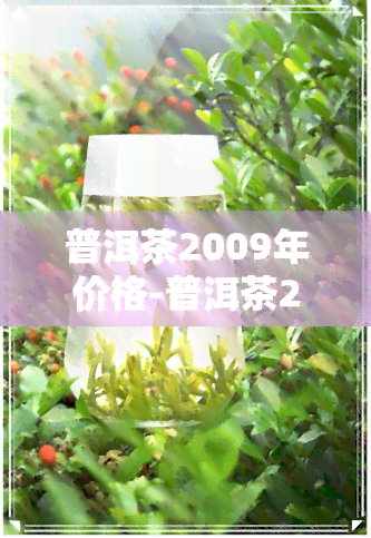 普洱茶2009年价格-普洱茶2009年的价格表