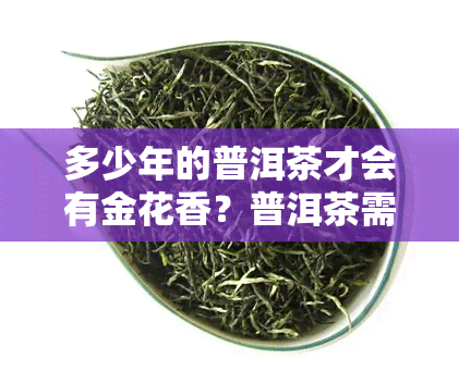 多少年的普洱茶才会有金花香？普洱茶需多久才能出现金花香气？