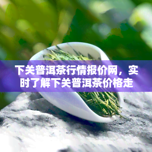 下关普洱茶行情报价网，实时了解下关普洱茶价格走势，尽在下关普洱茶行情报价网！