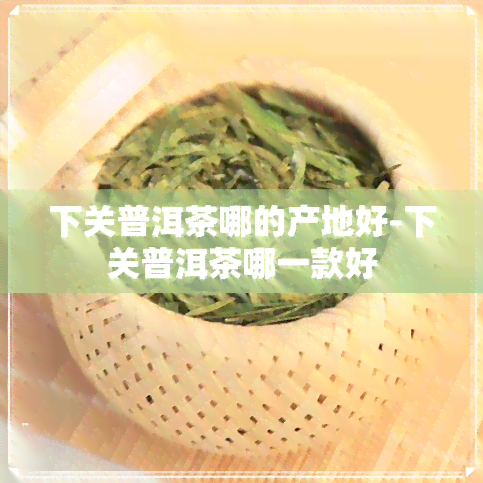 下关普洱茶哪的产地好-下关普洱茶哪一款好