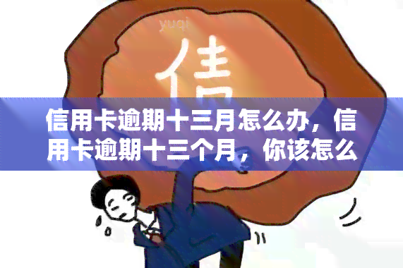 信用卡逾期十三月怎么办，信用卡逾期十三个月，你该怎么做？