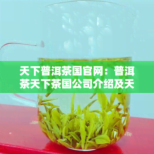 天下普洱茶国官网：普洱茶天下茶国公司介绍及天下普洱茶国一号价格查询