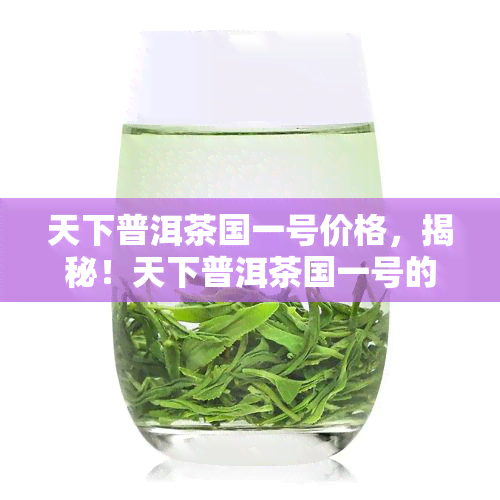 天下普洱茶国一号价格，揭秘！天下普洱茶国一号的市场价格是多少？