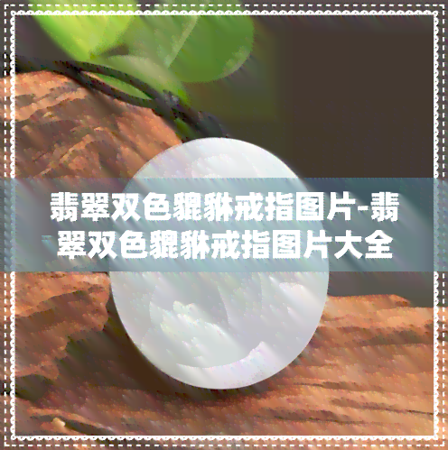 翡翠双色貔貅戒指图片-翡翠双色貔貅戒指图片大全