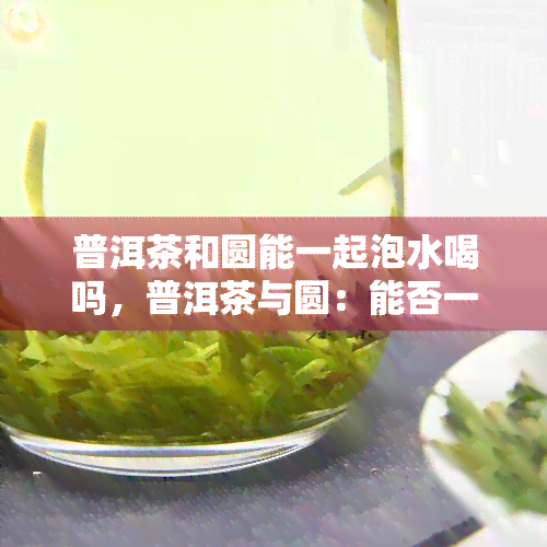 普洱茶和圆能一起泡水喝吗，普洱茶与圆：能否一同泡水饮用？