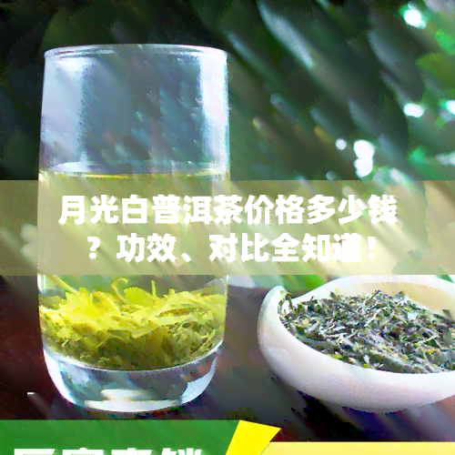 月光白普洱茶价格多少钱？功效、对比全知道！