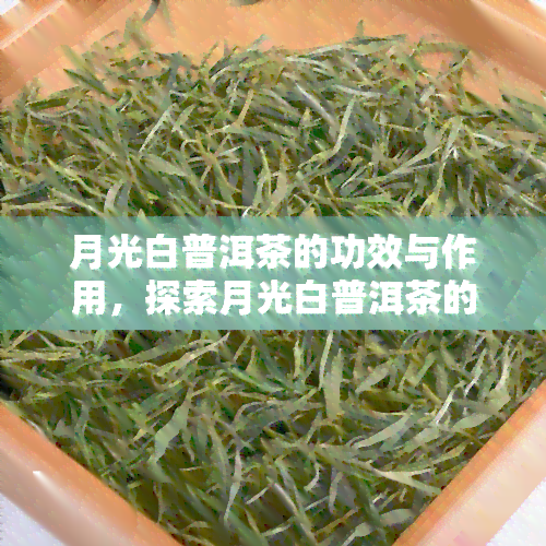 月光白普洱茶的功效与作用，探索月光白普洱茶的神奇功效与作用