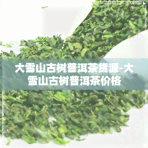 大雪山古树普洱茶货源-大雪山古树普洱茶价格