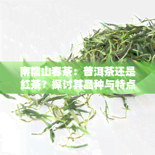 南糯山春茶：普洱茶还是红茶？探讨其品种与特点