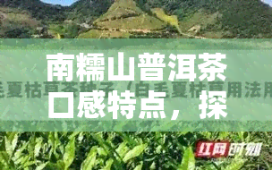 南糯山普洱茶口感特点，探秘南糯山普洱茶：口感特点全解析