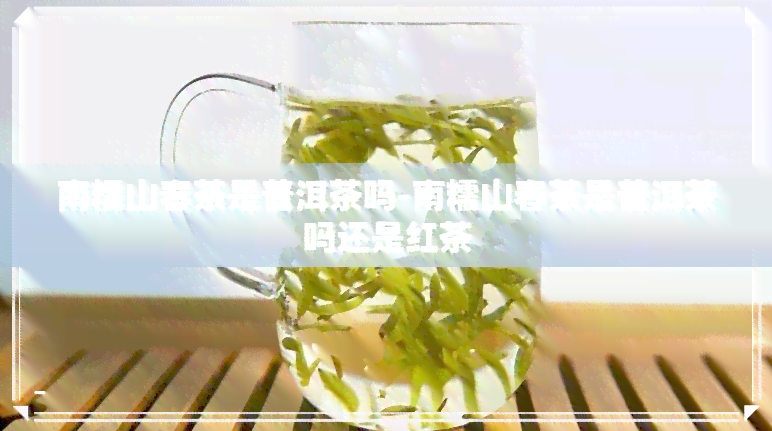 南糯山春茶是普洱茶吗-南糯山春茶是普洱茶吗还是红茶