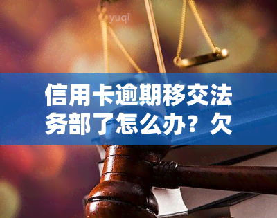 信用卡逾期移交法务部了怎么办？欠款可能面临诉讼风险！