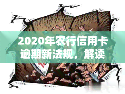 2020年农行信用卡逾期新法规，解读2020年农行信用卡逾期新法规：影响与应对策略