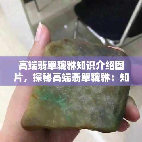 高端翡翠貔貅知识介绍图片，探秘高端翡翠貔貅：知识与鉴赏图文解析