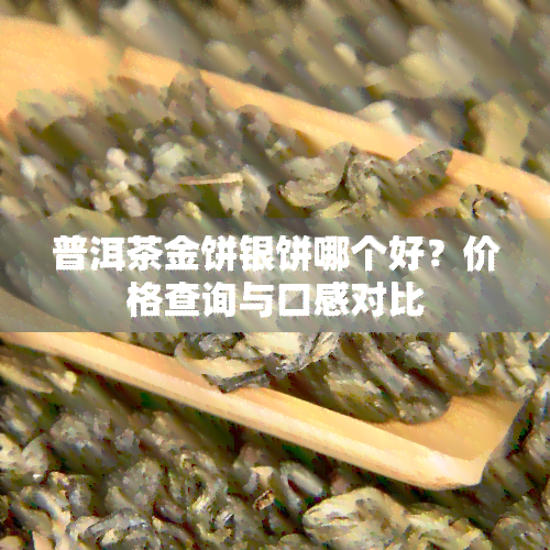 普洱茶金饼银饼哪个好？价格查询与口感对比