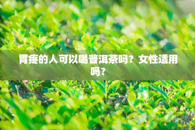 胃疼的人可以喝普洱茶吗？女性适用吗？