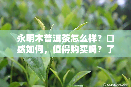 永明木普洱茶怎么样？口感如何，值得购买吗？了解永明茶厂木王及普洱茶价格！