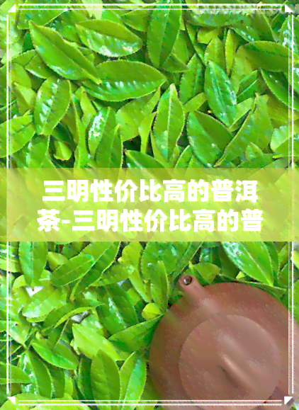 三明性价比高的普洱茶-三明性价比高的普洱茶