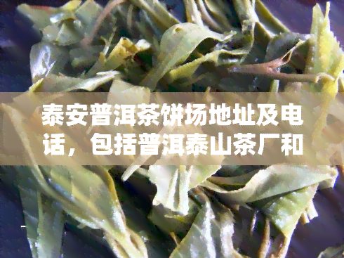 泰安普洱茶饼场地址及电话，包括普洱泰山茶厂和泰安茶叶场位置信息