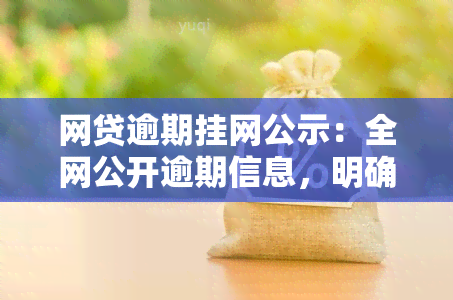 网贷逾期挂网公示：全网公开逾期信息，明确网络公布含义