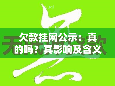 欠款挂网公示：真的吗？其影响及含义解析