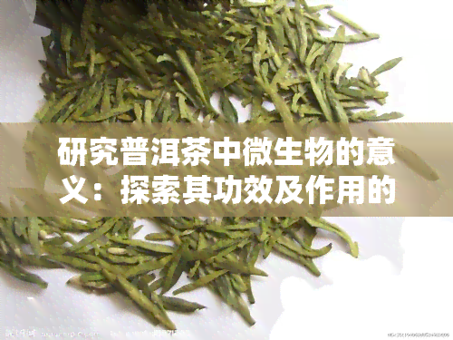 研究普洱茶中微生物的意义：探索其功效及作用的研究步骤