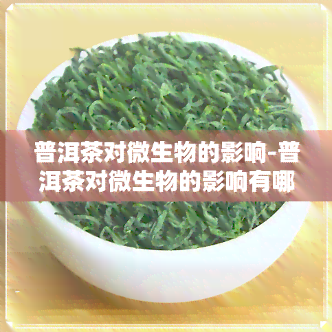 普洱茶对微生物的影响-普洱茶对微生物的影响有哪些