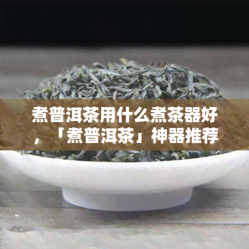 煮普洱茶用什么煮茶器好，「煮普洱茶」神器推荐！哪种煮茶器最适合你？