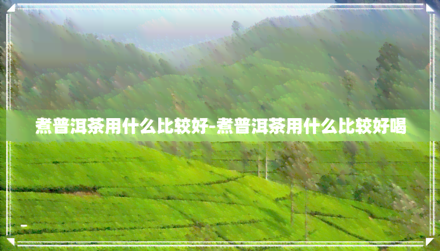 煮普洱茶用什么比较好-煮普洱茶用什么比较好喝