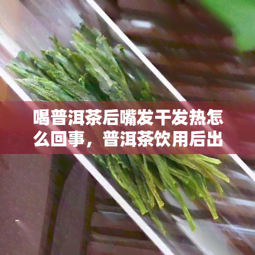 喝普洱茶后嘴发干发热怎么回事，普洱茶饮用后出现口干发热现象的原因解析