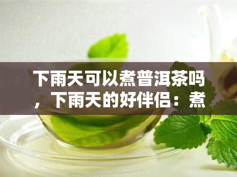 下雨天可以煮普洱茶吗，下雨天的好伴侣：煮普洱茶的正确方式