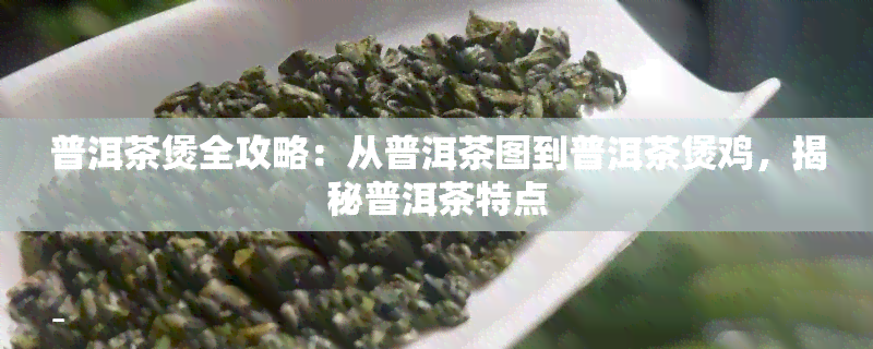 普洱茶煲全攻略：从普洱茶图到普洱茶煲鸡，揭秘普洱茶特点