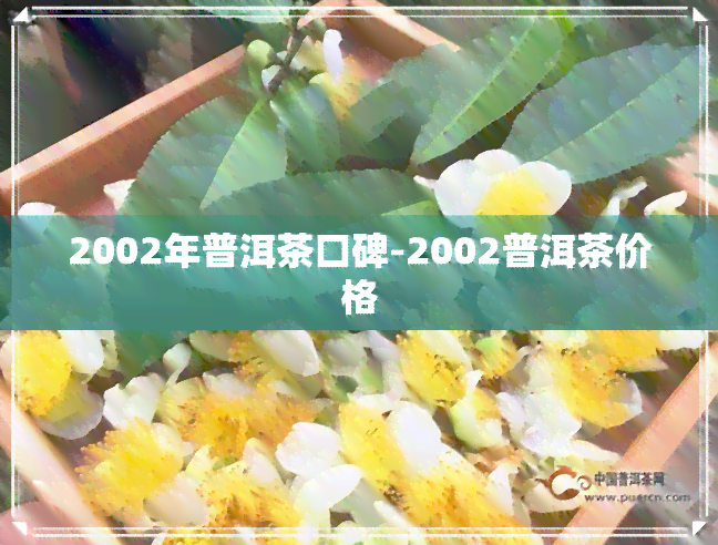 2002年普洱茶口碑-2002普洱茶价格