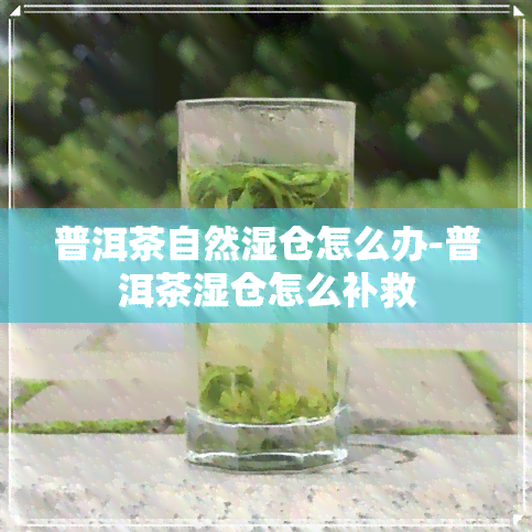 普洱茶自然湿仓怎么办-普洱茶湿仓怎么补救