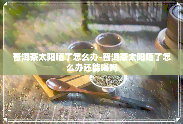 普洱茶太阳晒了怎么办-普洱茶太阳晒了怎么办还能喝吗